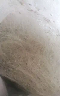 تور ماهی گیری دست نخورده