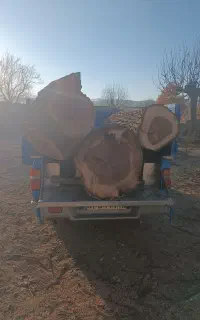 خرید فروش انواع چوب تیر سقفی