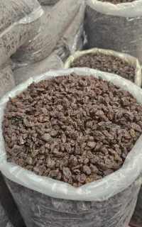 پخش کشمش تاکستان داریوش
