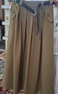 دامن مجلسی
