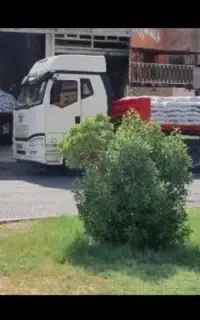 کود  مخصوص  تناژدهی و سبزینگی  گندم  و کلزا