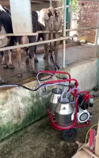 دستگاه شیردوش کره ای