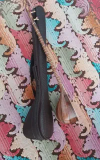 سه تار کاملا نو همراه با کیف