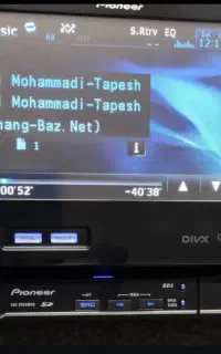 ظبط
