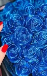 تخفیف انواع دسته گل