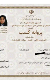 قالی شویی قالیشویی اتوماتیک درخشان VIP