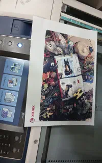 کپی و پرینتر رنگی زیراکس