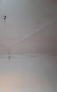 استاد ماهر