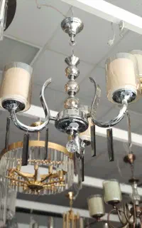 لوستر مرغابی