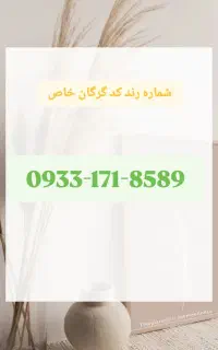 0933-171-8589