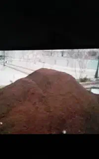 کود حیوانی گوسفندی و گاوی