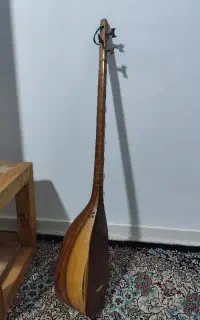 تنبور کاسه ای