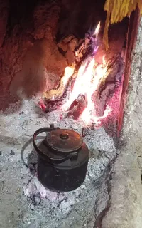 فقط معاوضه