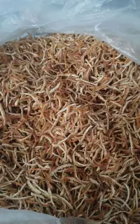 خلال مرکبات گل ختمی