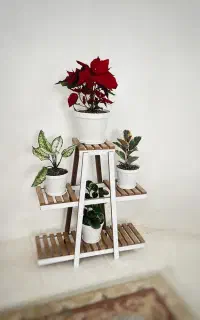 استند گلدان چوبی