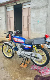 نیکتاز۲۰۰