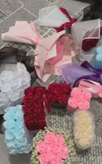 گل رز روبانی