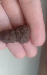 سنگ هبهاب بیابانی