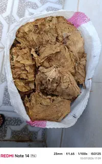 سبزی خشک