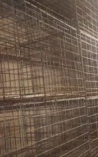 قفس مرغ تخمگذار