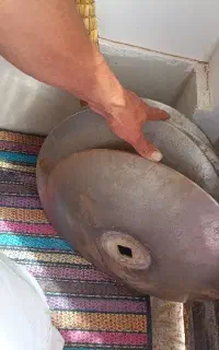 چهار عدد پره دیکس