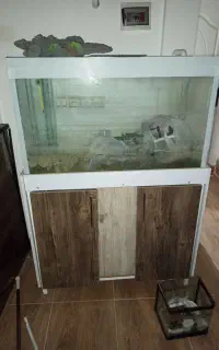 اکواریوم حرفه ای