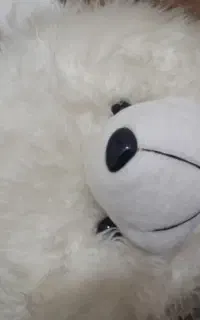 عروسک خرسی بزرگ