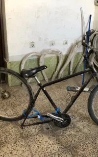 دوچرخه مفت