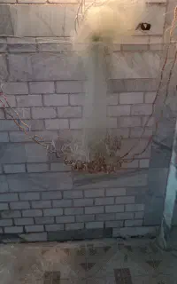 تور ماهیگیری