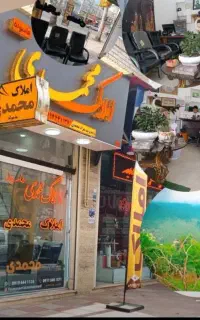 منشی خانم مسلط به کامپیوتر فومن