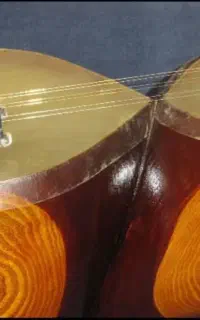 کارگاه ساخت تار ولی زاده