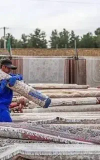 قالیشویی کرمانی ها رسالت قالی شویی شستشوباموادنانو