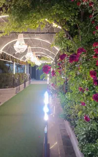 باغسرای وباغ تالار رویایی پاژ