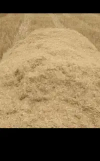فروش کاه عمده