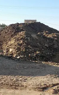 کودگوسفندی