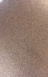 تخم یونجه رنجر امریکایی