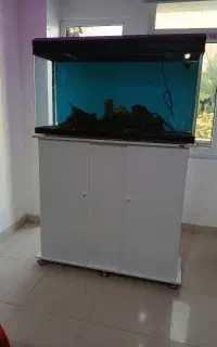 اکواریوم