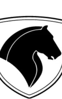 خدمات حواله فیدیلیتی سورن تارا دنا ریرا ۲۰۷