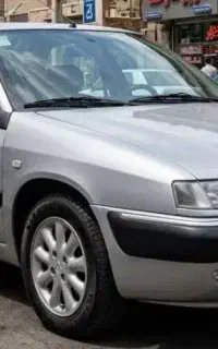 زانتیا بی رنگ