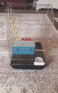 قفس پرنده