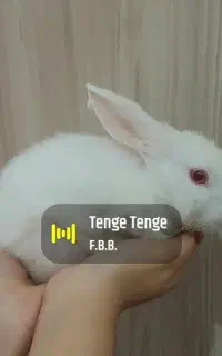 خرگوش اروم