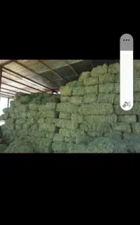 یونجه پرس خالص