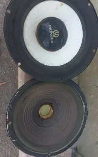 باند پایونر سالم