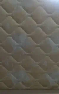 تشک ۱۶۰ همراه با کفی