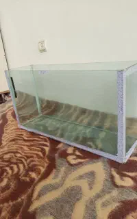 تنها شیشه