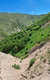 مینی بوس سید