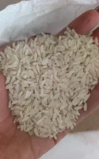 فروش برنج
