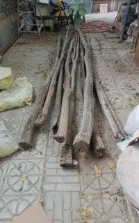 تیرچه چوبی