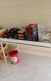 قفسه میوه فروشی وپنکه سقفی
