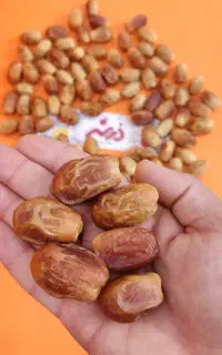 خرمای زاهدی جهرم درجه یک